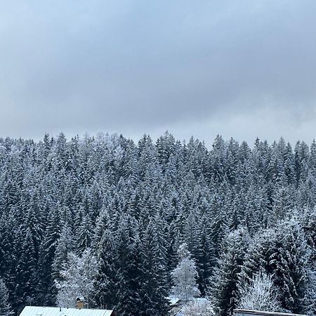 Penzion Verde Rosa Harrachov Esterno foto