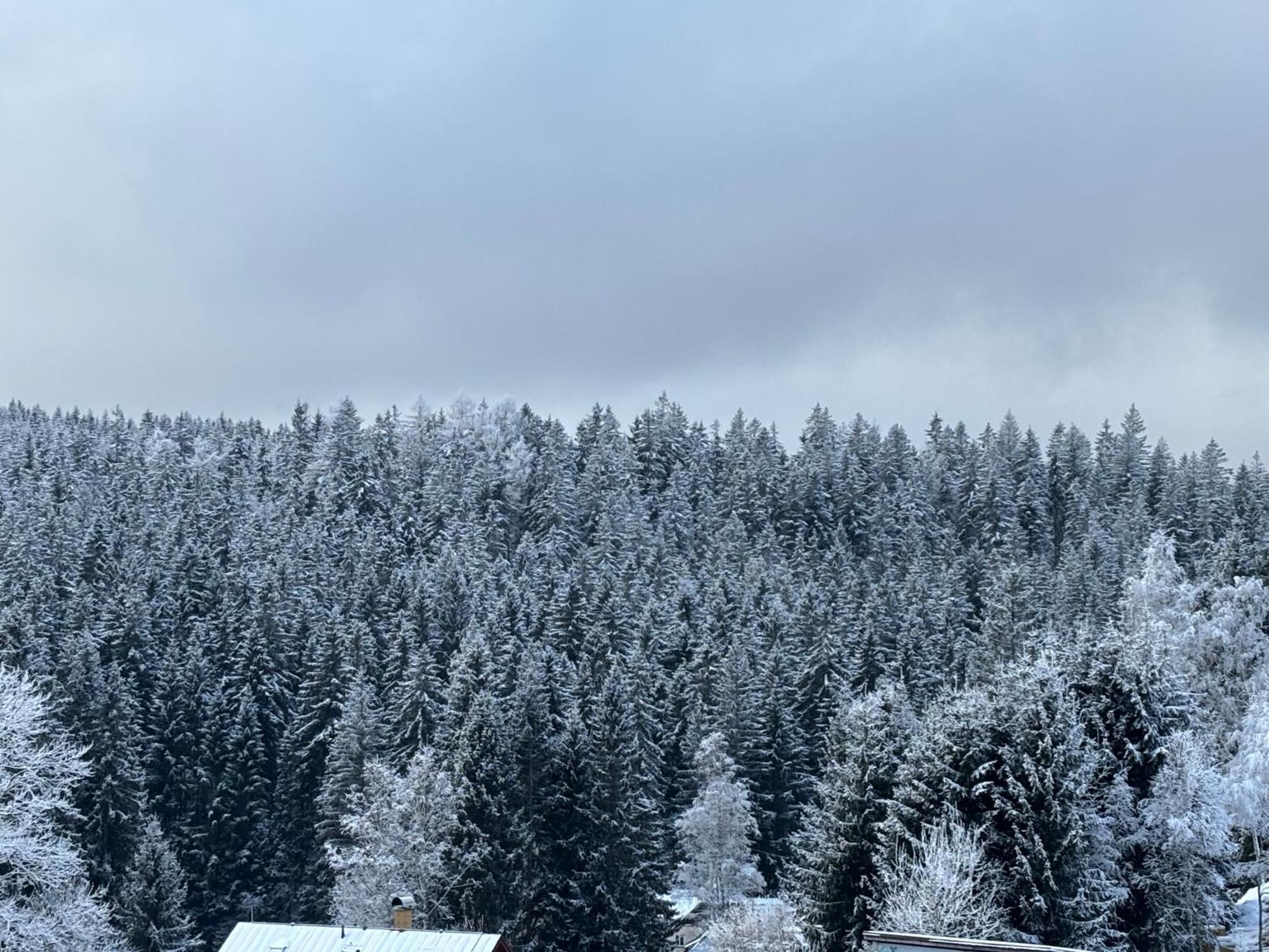 Penzion Verde Rosa Harrachov Esterno foto