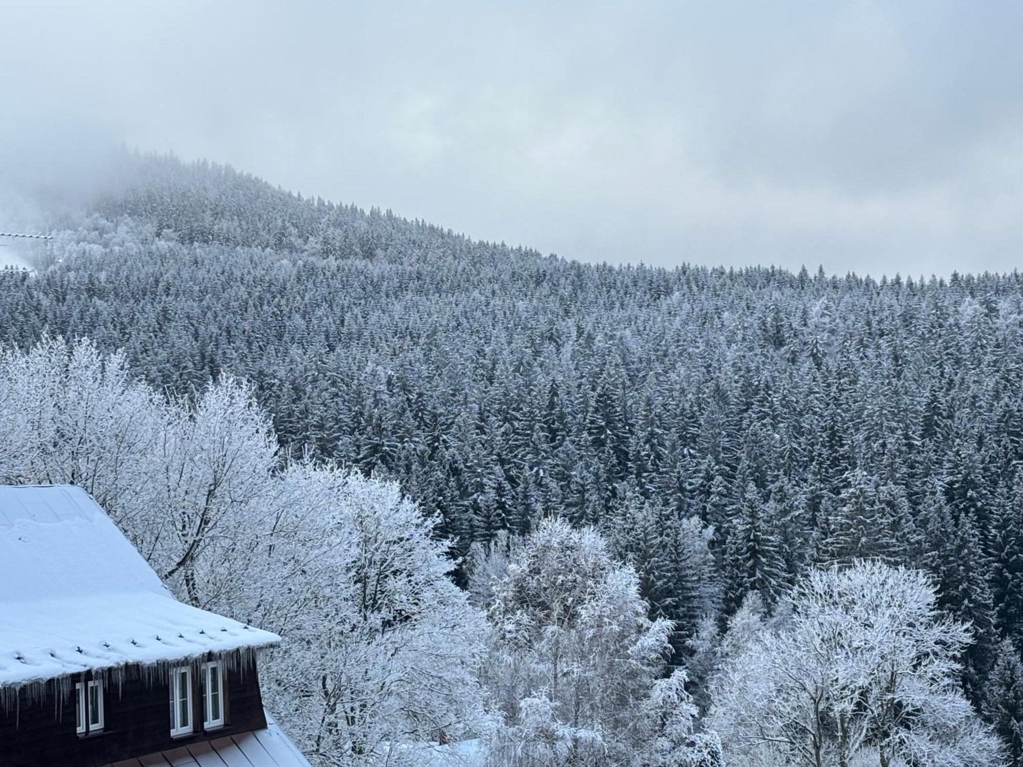 Penzion Verde Rosa Harrachov Esterno foto